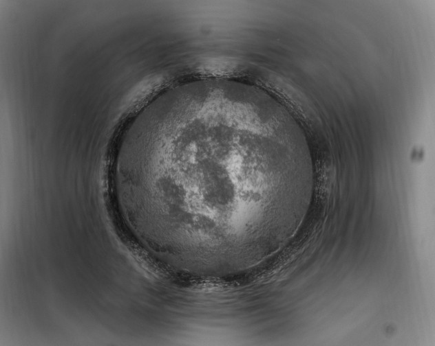 X0000098070738200804041124