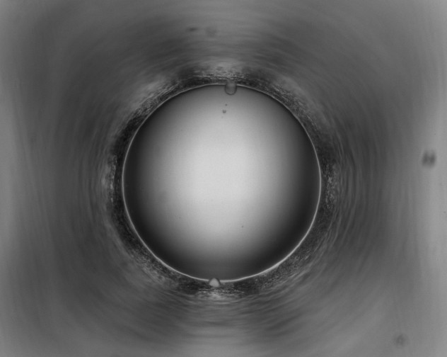 X0000098070739200804041124