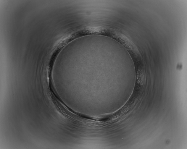 X0000098070740200804041124