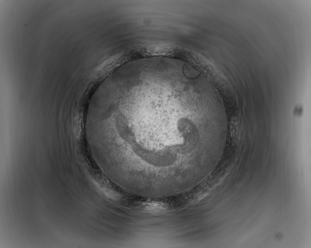 X0000098070741200804041124