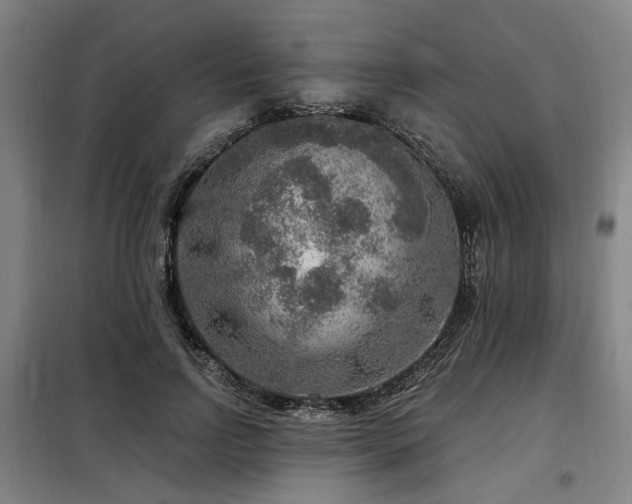 X0000098070742200804041124