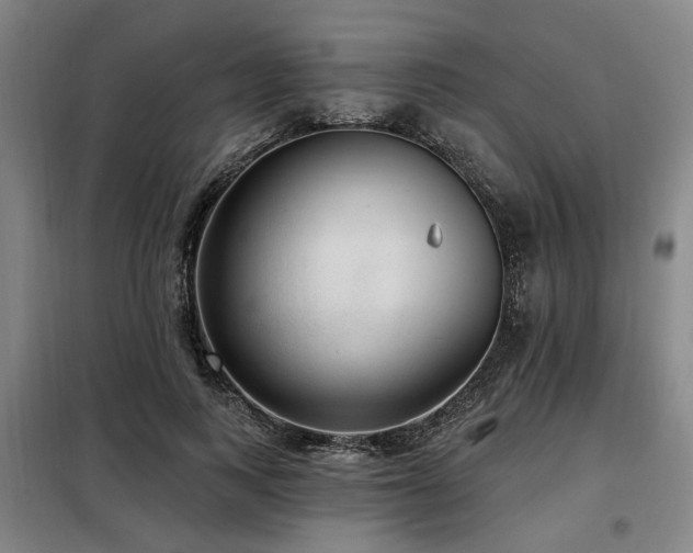 X0000098070743200804041124