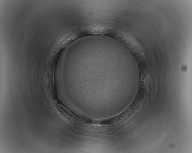 X0000098070744200804041124