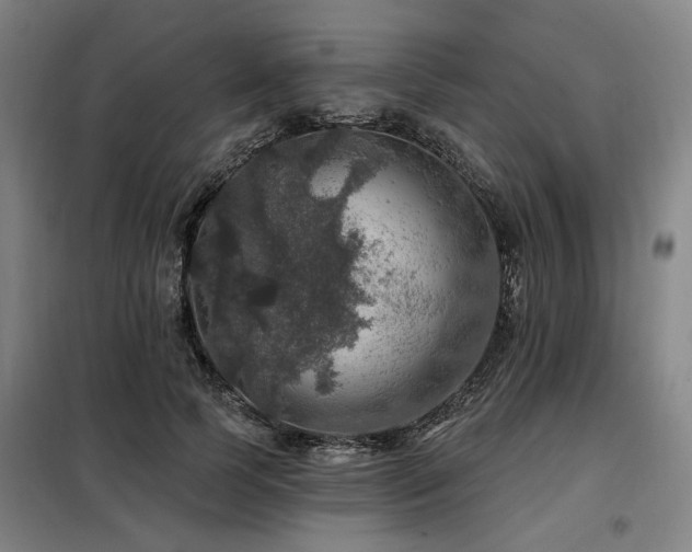 X0000098070745200804041124