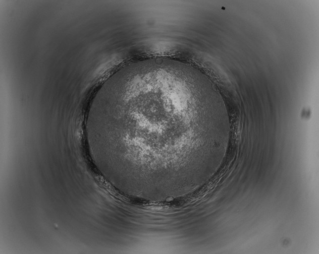 X0000098070746200804041124