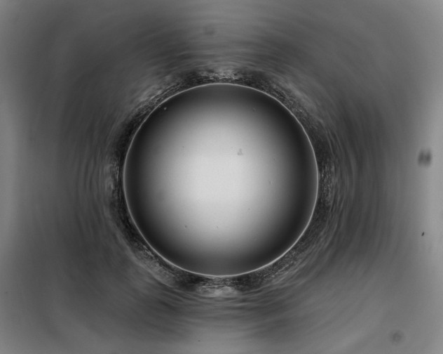 X0000098070747200804041124