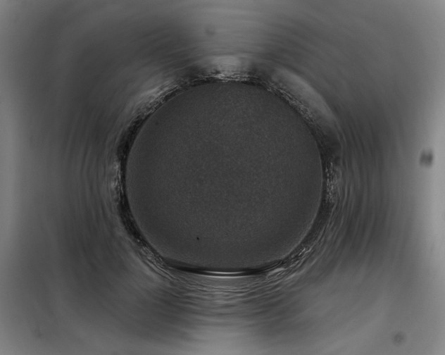 X0000098070748200804041124