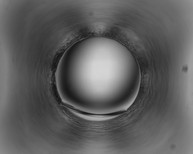 X0000098070750200804041124