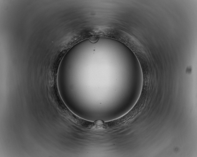 X0000098070751200804041124