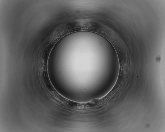 X0000098070752200804041124