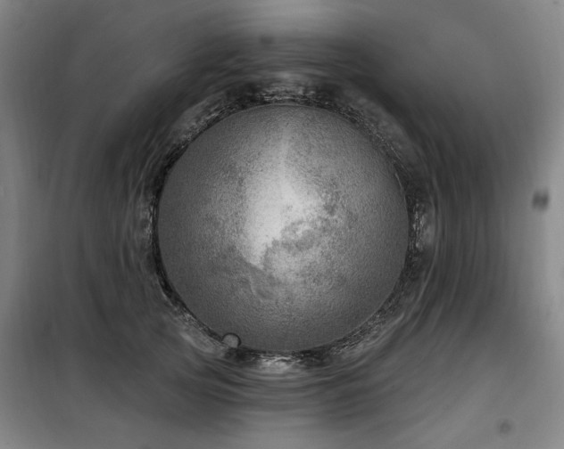 X0000098070753200804041124