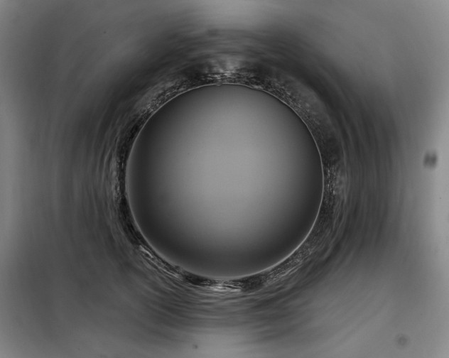 X0000098070754200804041124