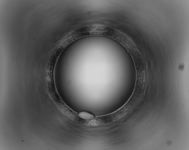 X0000098070755200804041124