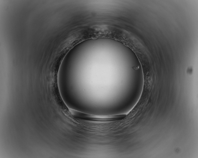 X0000098070756200804041124