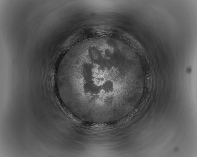 X0000098070757200804041124