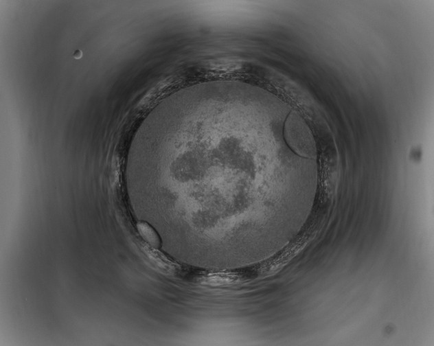 X0000098070758200804041124