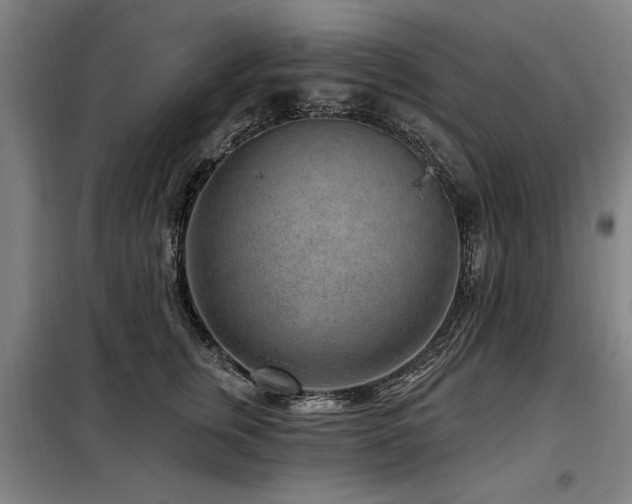 X0000098070759200804041124