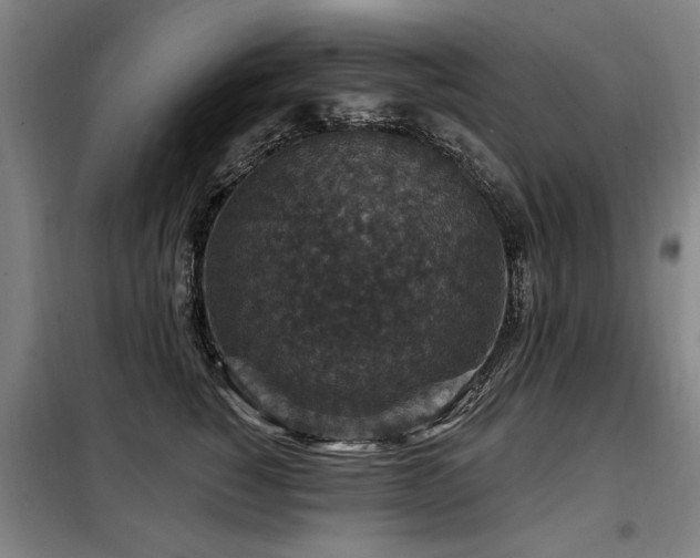 X0000098070760200804041124