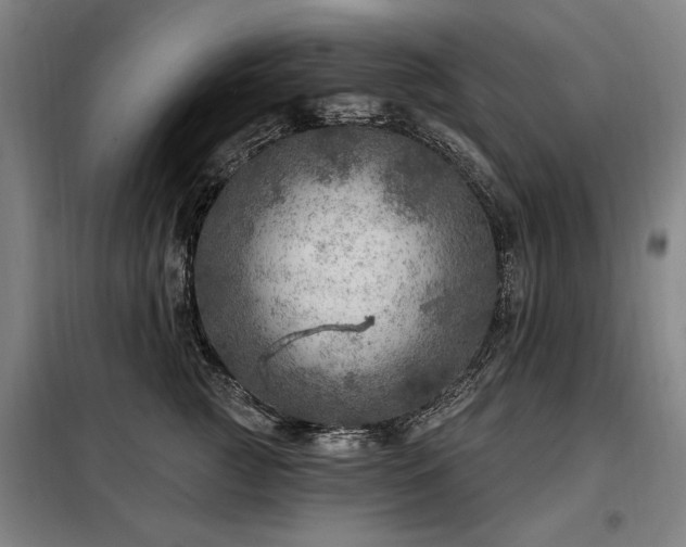 X0000098070761200804041125