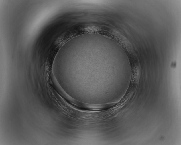 X0000098070762200804041125