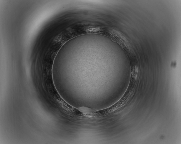 X0000098070763200804041125