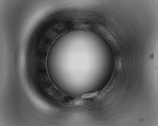 X0000098070764200804041125