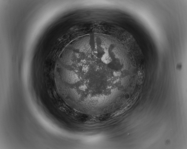 X0000098070765200804041125