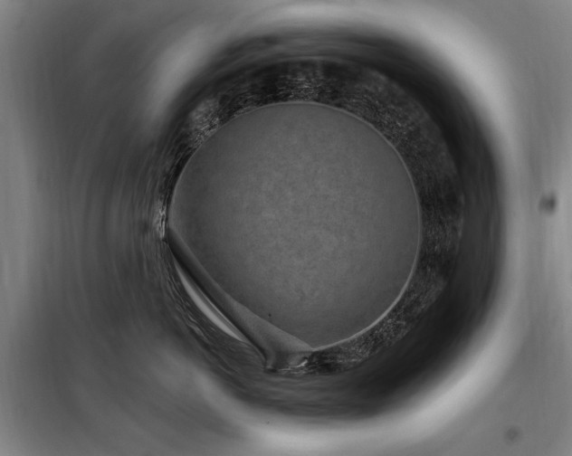 X0000098070766200804041125