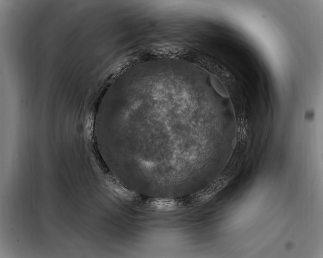 X0000098070767200804041125