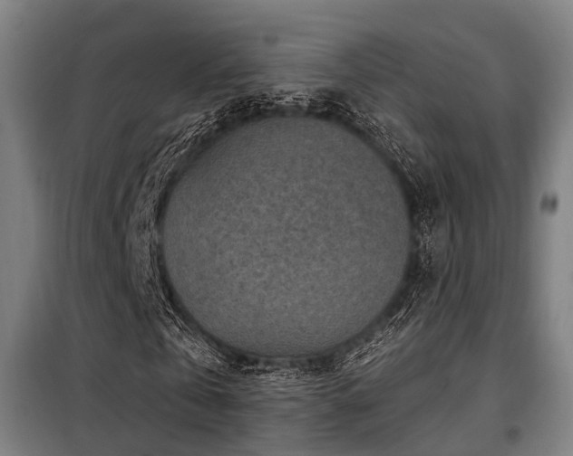 X0000098070769200804041124