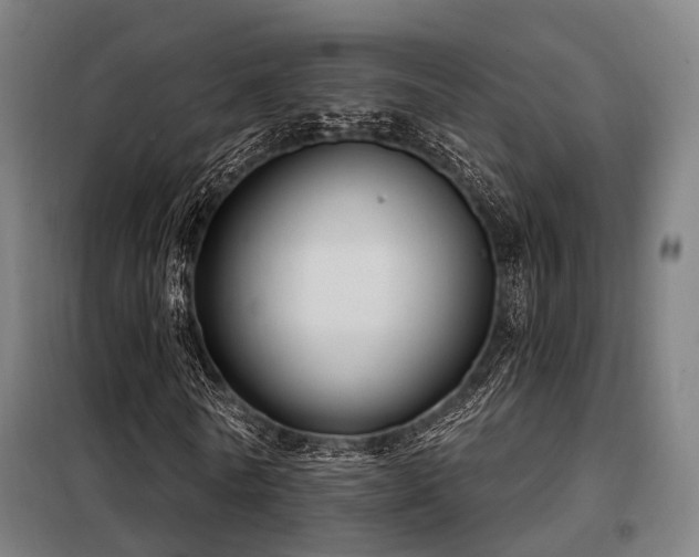 X0000098070770200804041124