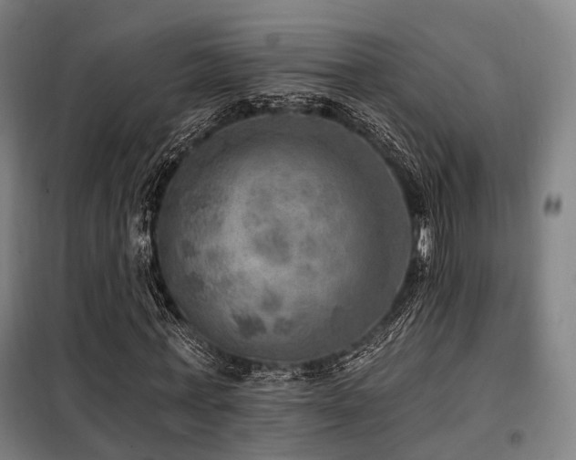 X0000098070771200804041124