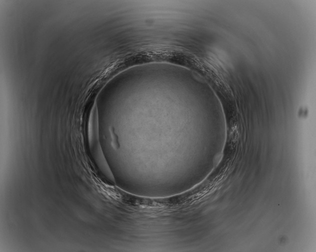 X0000098070772200804041124