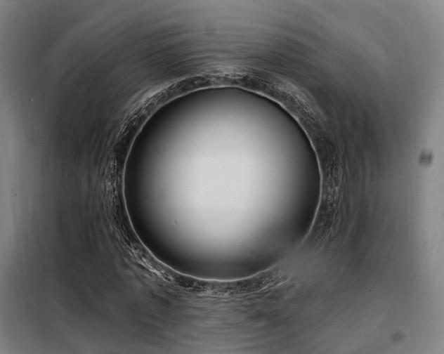 X0000098070773200804041124