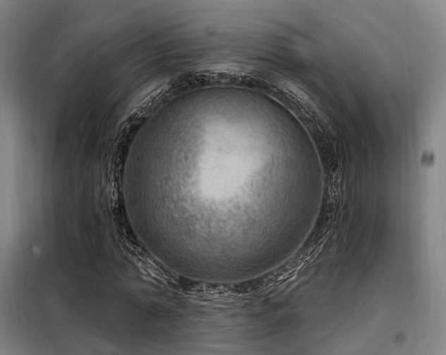 X0000098070774200804041124