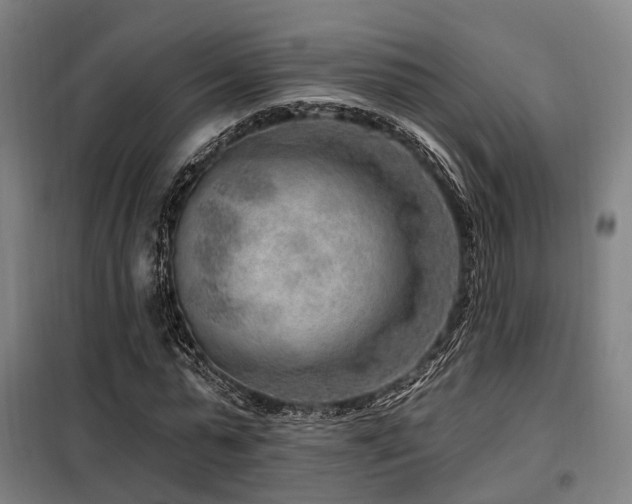 X0000098070775200804041124