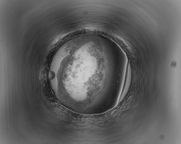 X0000098070776200804041124