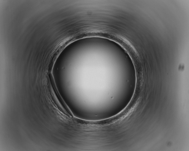 X0000098070777200804041124