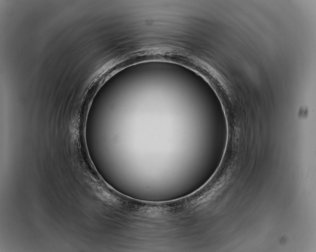 X0000098070778200804041124