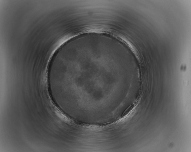 X0000098070779200804041124