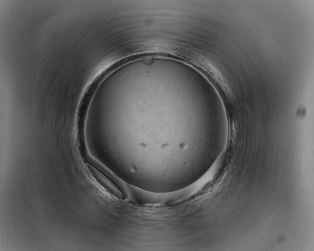 X0000098070780200804041124