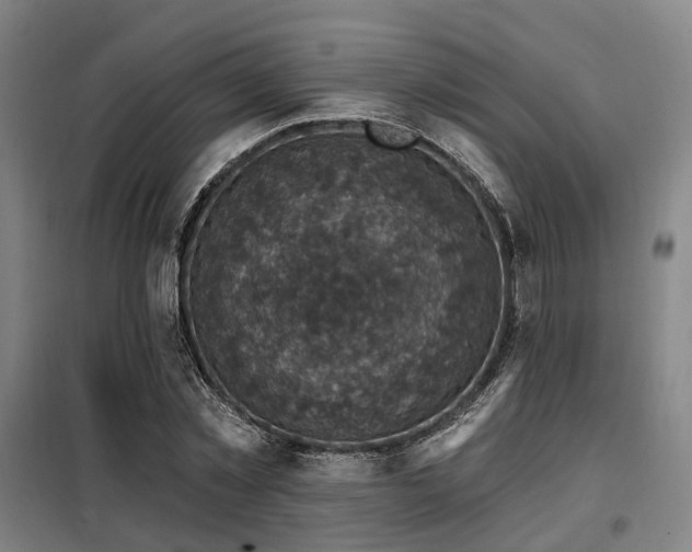 X0000098070781200804041124