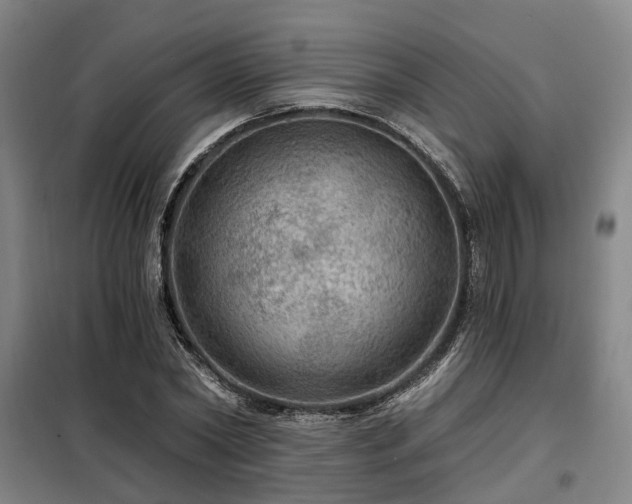 X0000098070782200804041124