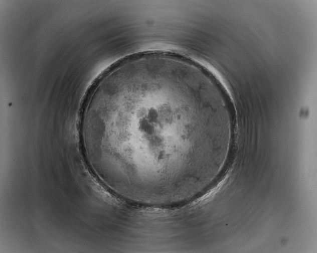 X0000098070783200804041124