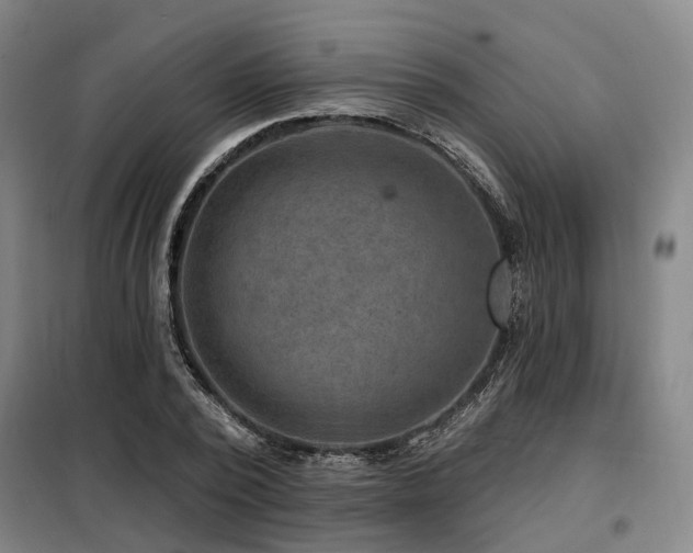 X0000098070784200804041124