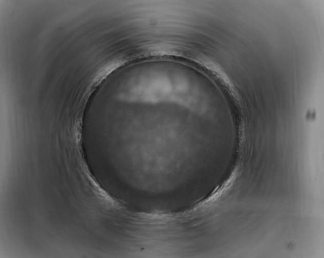 X0000098070785200804041124