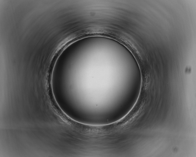 X0000098070786200804041124