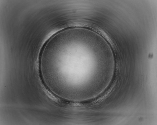 X0000098070787200804041124