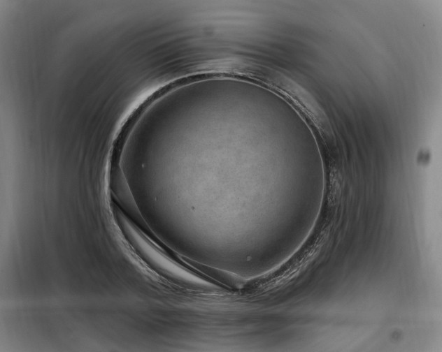 X0000098070788200804041124