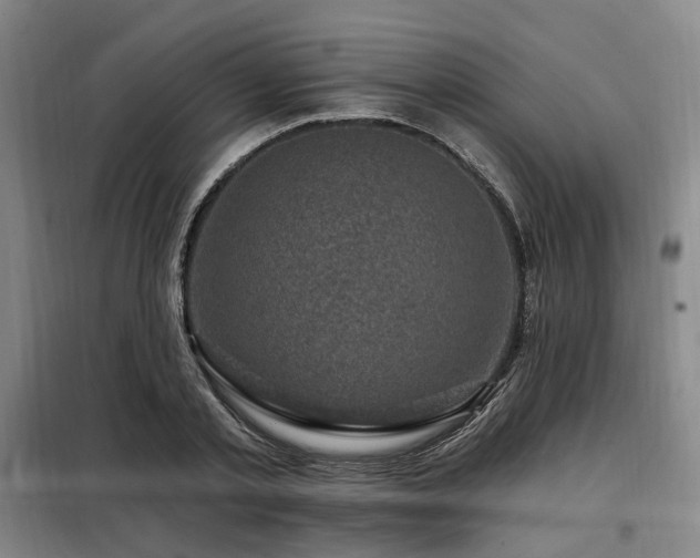 X0000098070789200804041124